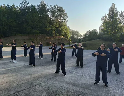 Students practise standing martial-arts movements on an outdoor court.