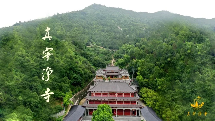 Zhenningjing Temple in Qingtian, pictured in its 2024 youth-retreat invitation.