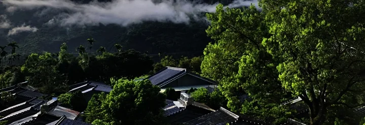 Dhamma Vikasa cottages below forested mountains.
