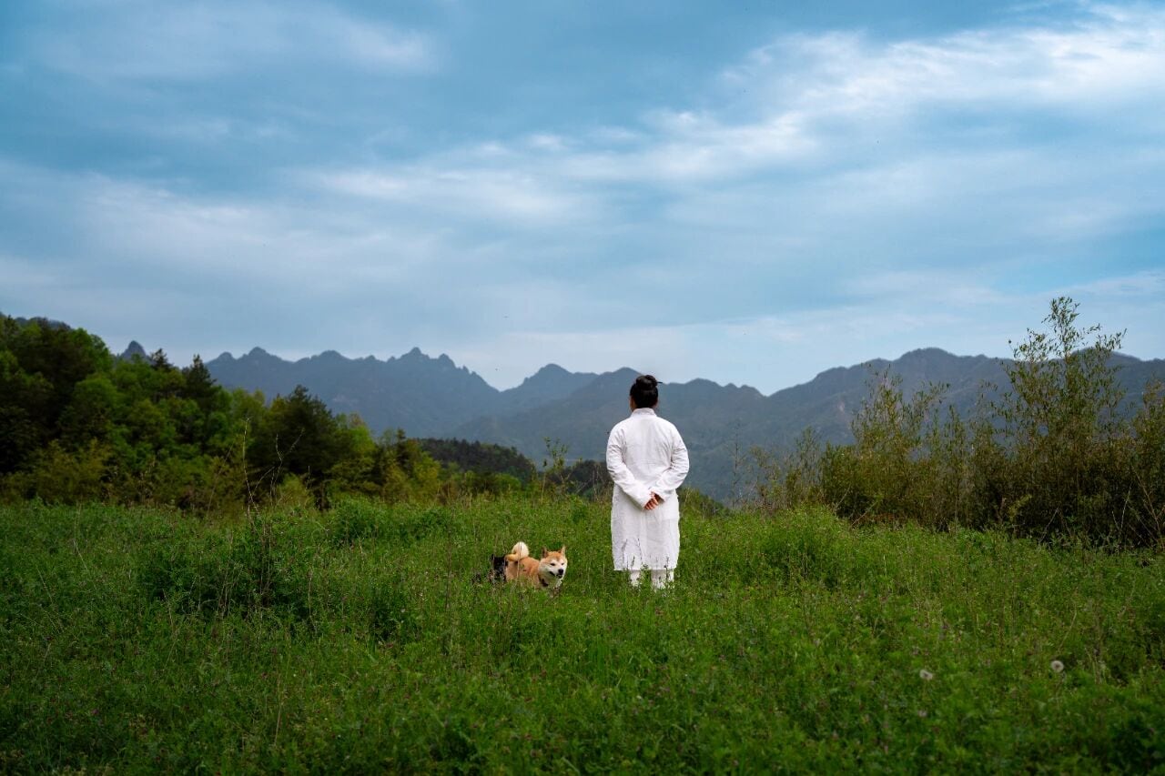 A figure in white stands in a meadow facing the Wudang peaks.