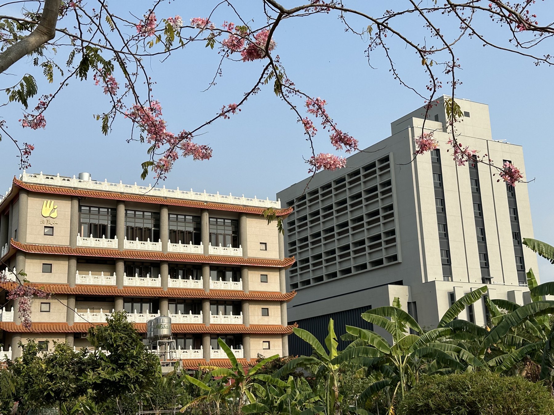 Ziyun Temple buildings with the new tall Chan hall behind the older wing.